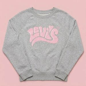 NWT‎ Levi’s Grey Love Cropped Crewneck